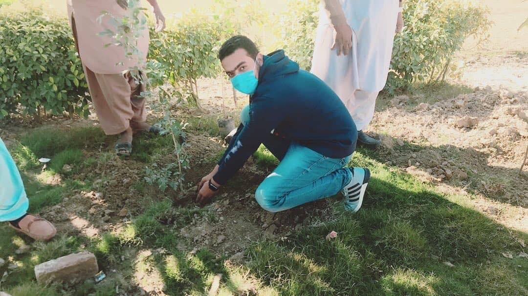 Plant gardens and trees