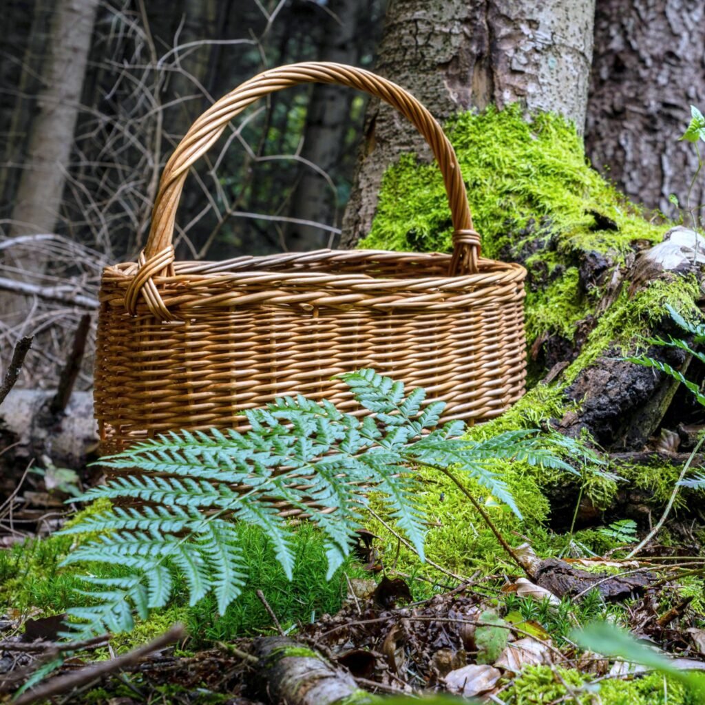 Back local and sustainable products.